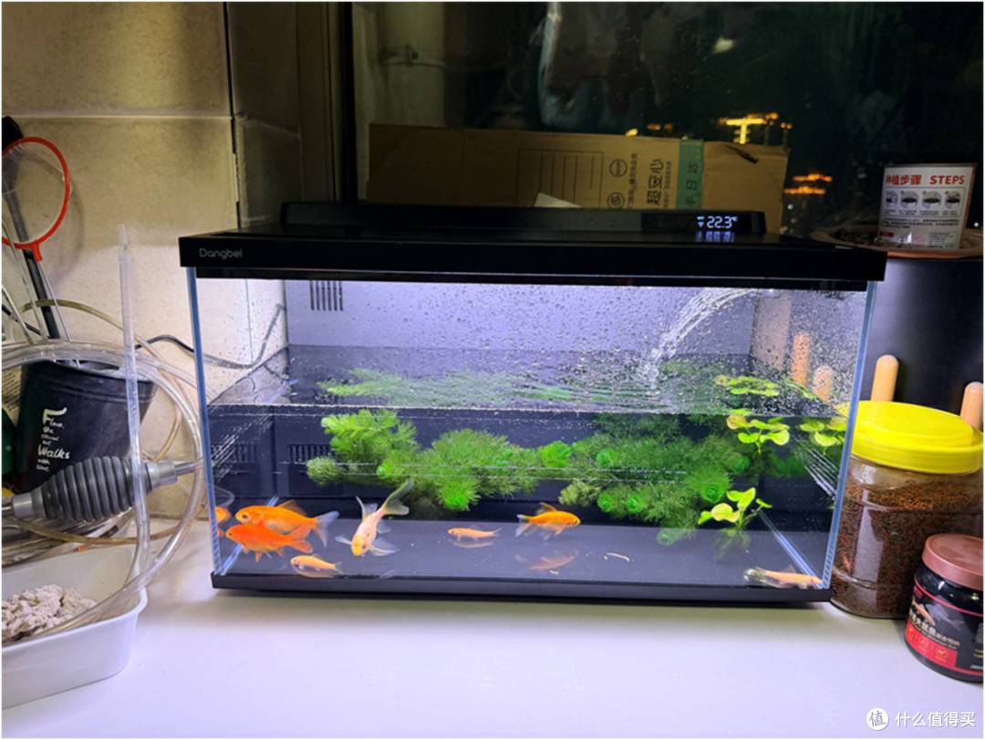 ▲ 当贝鱼缸2S Ultra外观展示