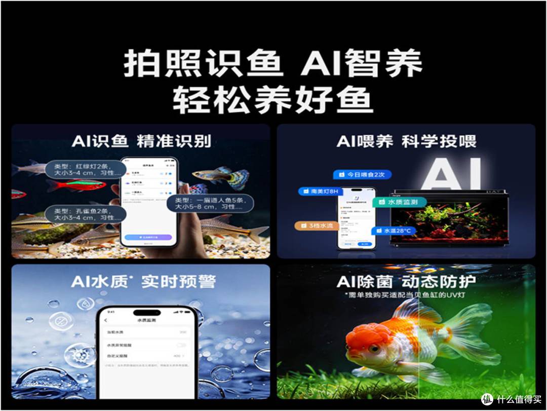 ▲ 当贝鱼缸AI智能控制系统