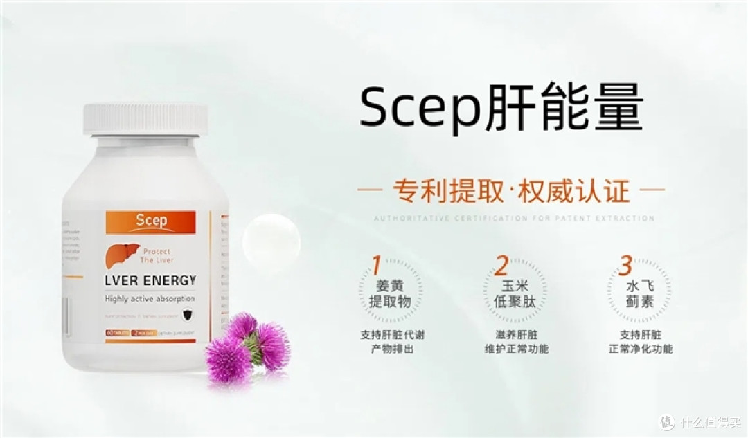 长期烟酒人群护肝片怎么选,肝脏受损经常易感疲惫,十大品牌盘点