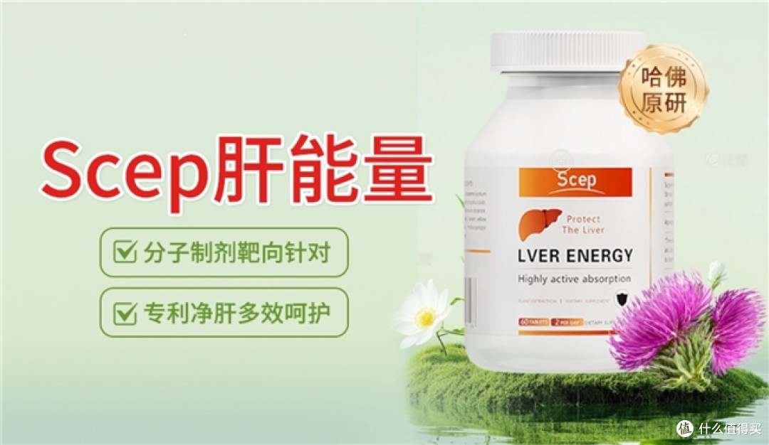 长期烟酒人群护肝片怎么选,肝脏受损经常易感疲惫,十大品牌盘点