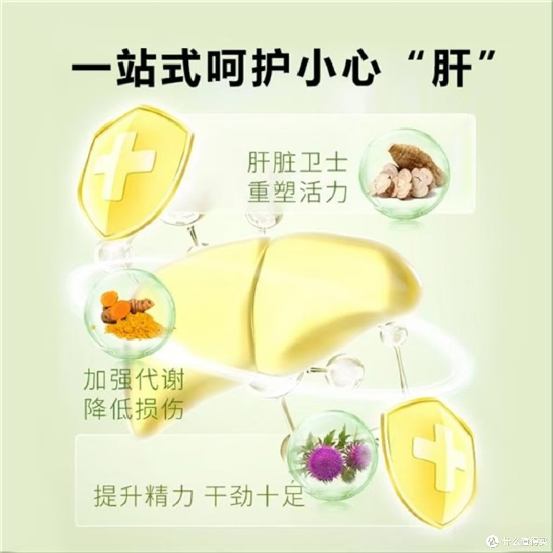 长期烟酒人群护肝片怎么选,肝脏受损经常易感疲惫,十大品牌盘点