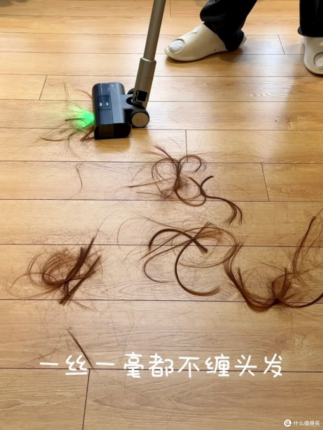 合理规划养猫预算,优先入手自集尘吸尘器更实用