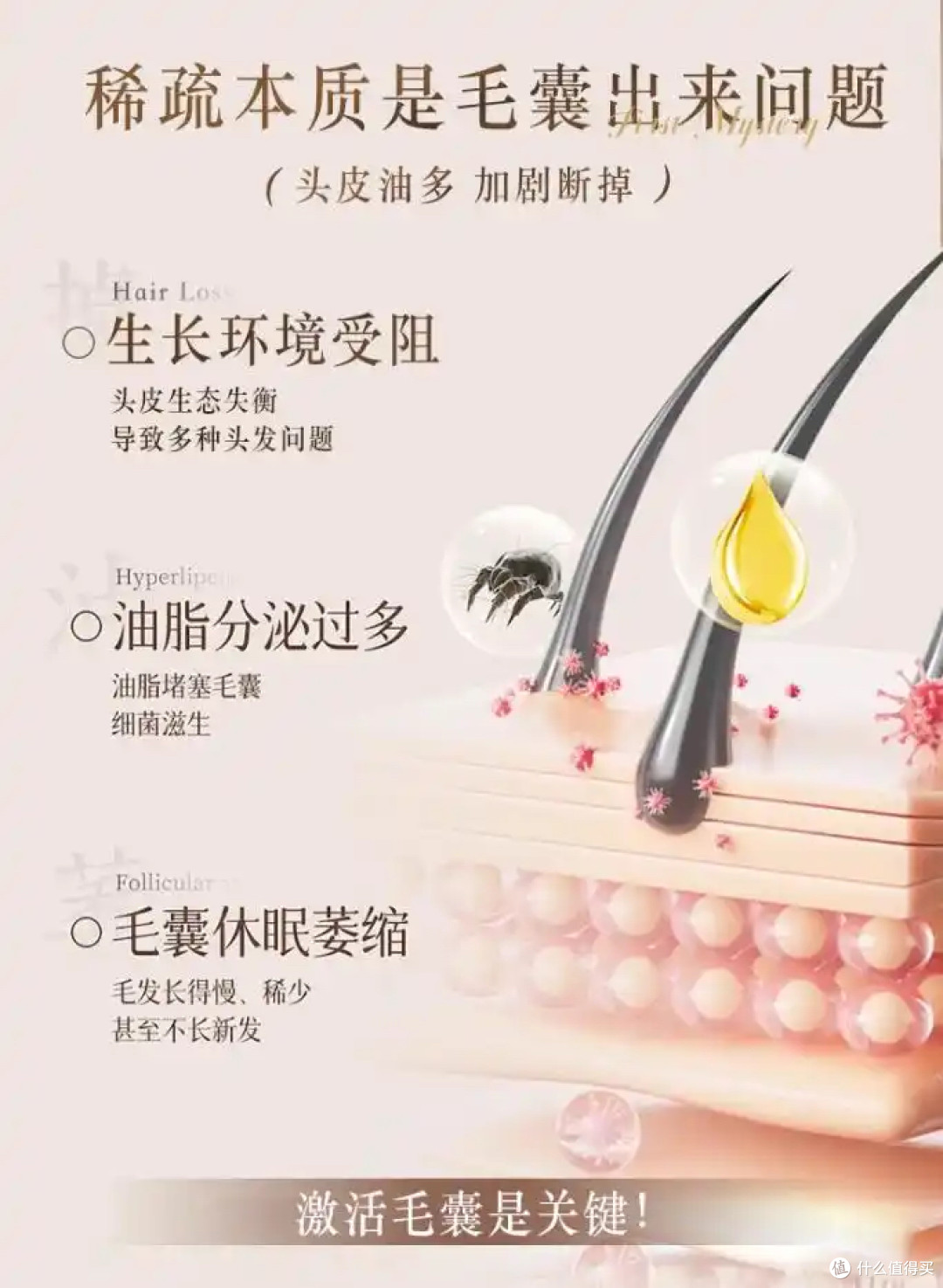 什么牌子的防脱洗发水效果好?2026实测:滋养发根改善掉发断发