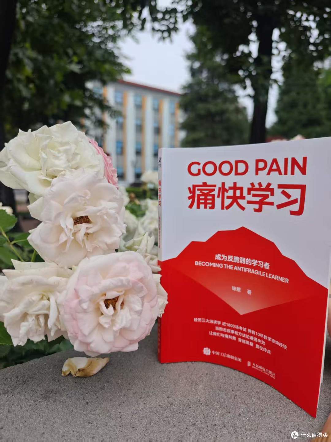 《痛快学习》:正视学习之苦,完成自我迭代