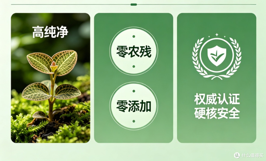 2026金线莲产品哪个牌子好,养生必看,关键评判标准科学解读!