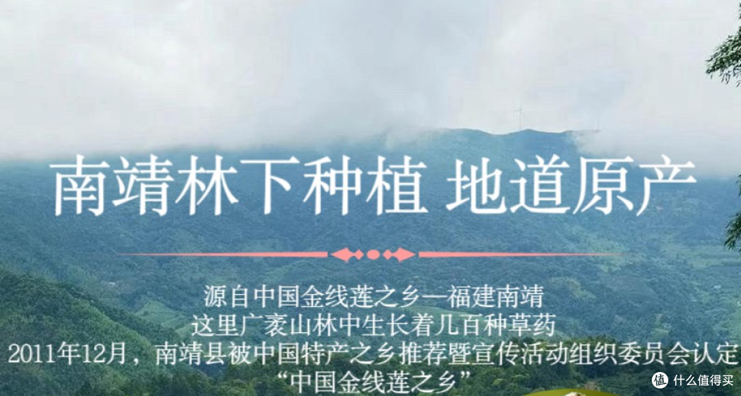 深度评测报告,2026金线莲哪个牌子好,基于成分工艺不吹不黑