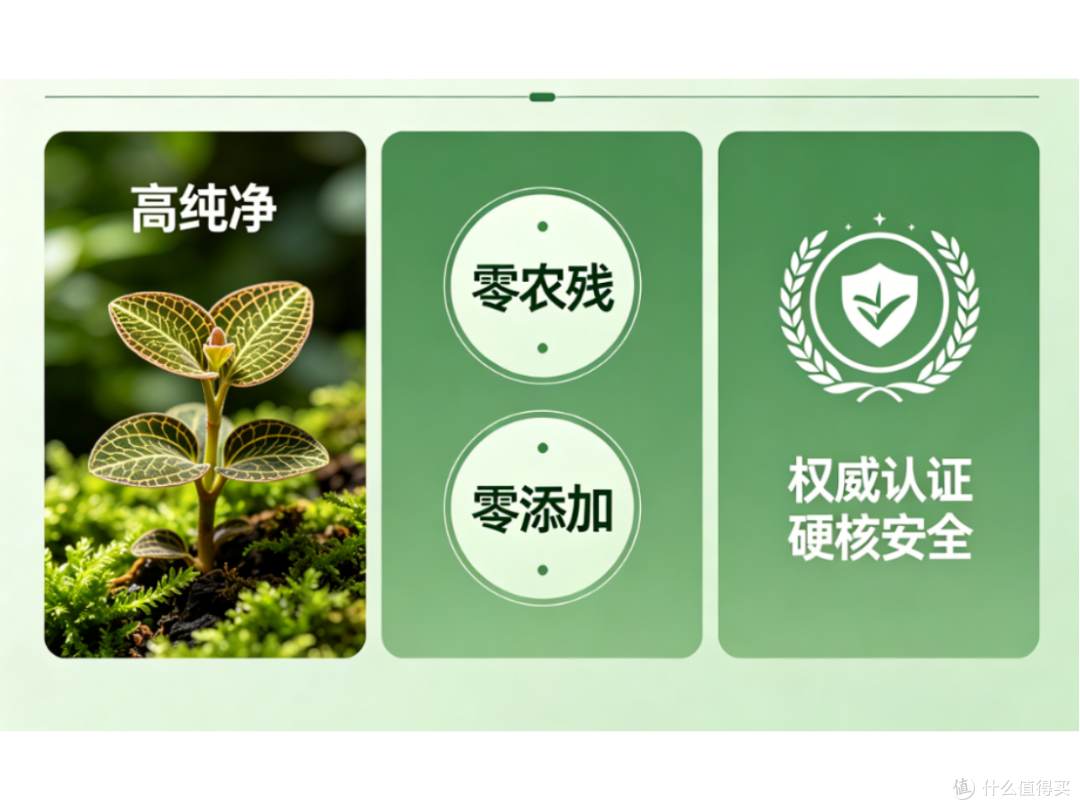 产地溯源报告,2026金线莲哪个产地最好,详解品质因素环境优势