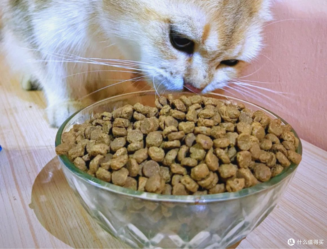 618入手哪款猫粮好?希喂、渴望、蓝氏热门猫粮牌子618入手哪款好