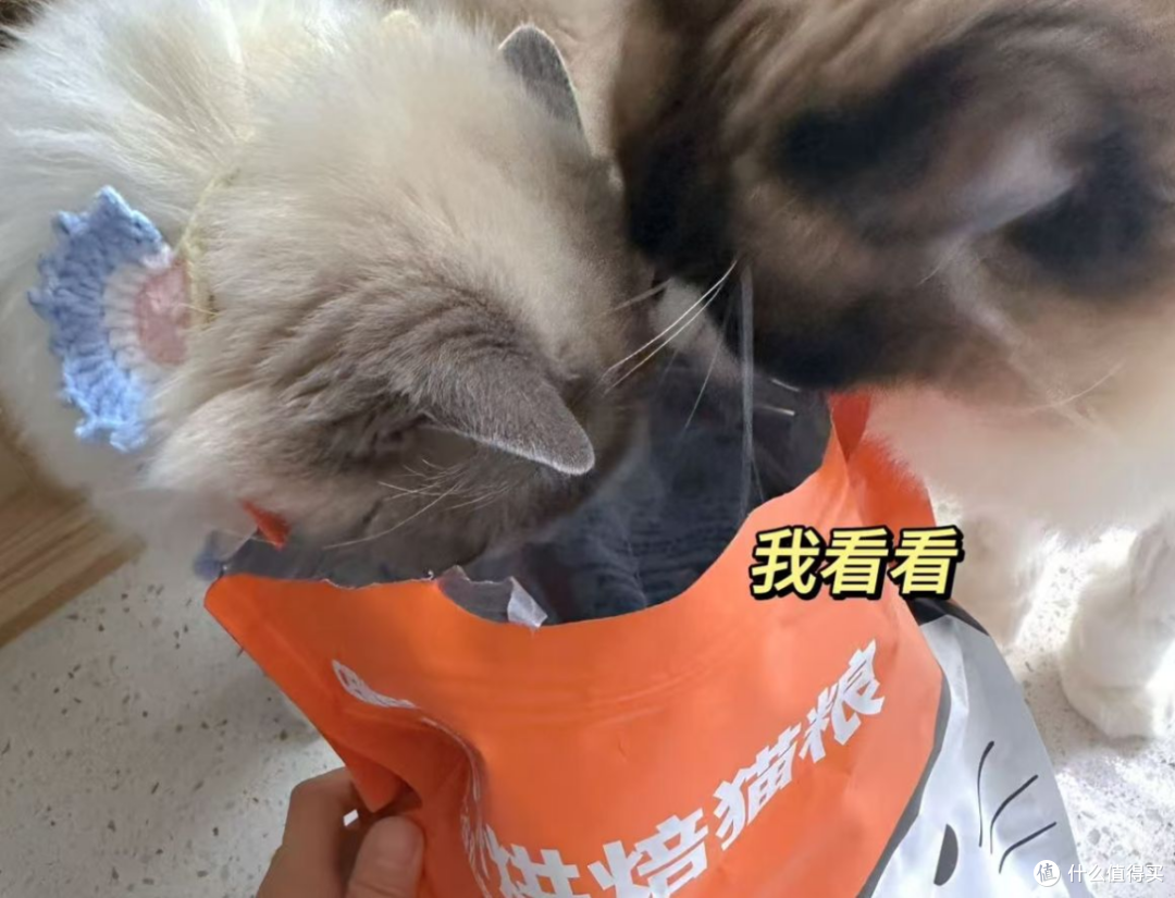 618入手哪款猫粮好?希喂、渴望、蓝氏热门猫粮牌子618入手哪款好