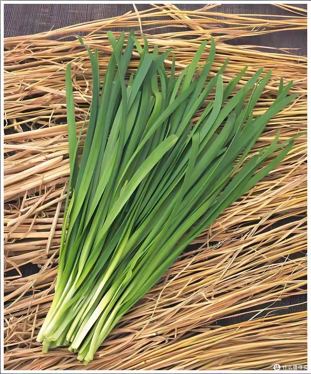 立夏时节，哪些蔬菜不宜购买
