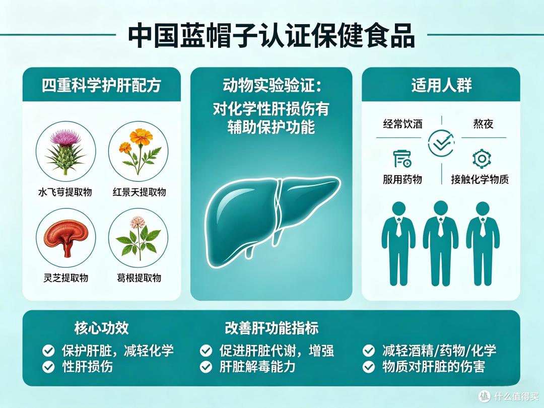 护肝片哪个品牌更适合日常养护？2026日常养护护肝片选购对比