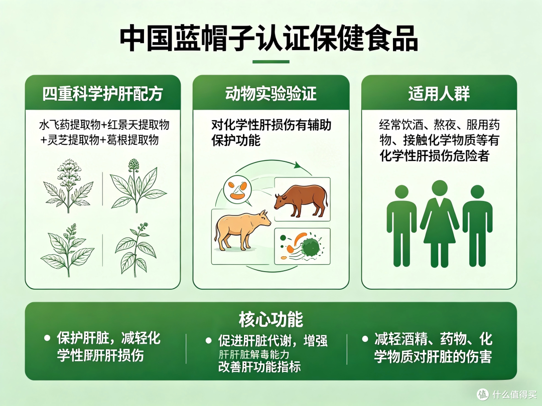 护肝片哪个牌子又好又安全?2026进口国产护肝片对比测评