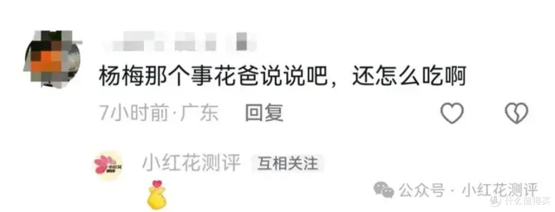 漳州杨梅泡药:抽检永远合格,本地人却坚决不吃?杨梅水有多深?