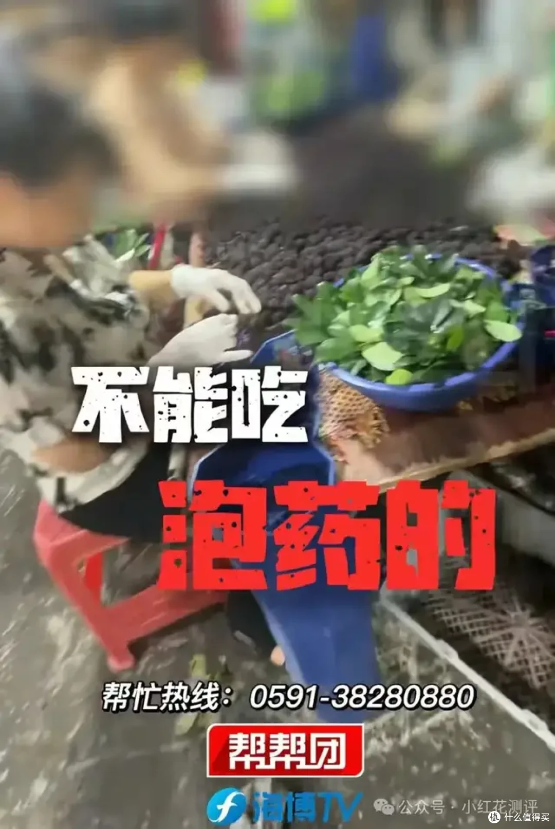 漳州杨梅泡药:抽检永远合格,本地人却坚决不吃?杨梅水有多深?