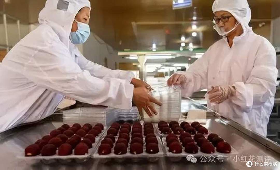 漳州杨梅泡药:抽检永远合格,本地人却坚决不吃?杨梅水有多深?