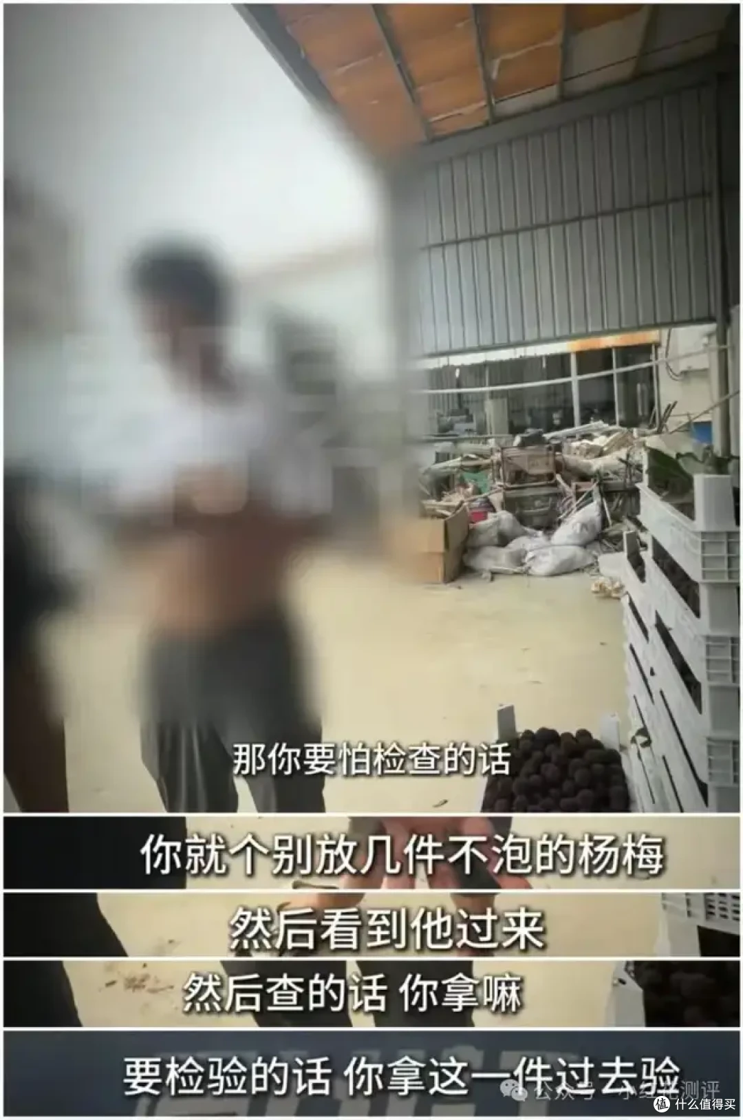 漳州杨梅泡药:抽检永远合格,本地人却坚决不吃?杨梅水有多深?