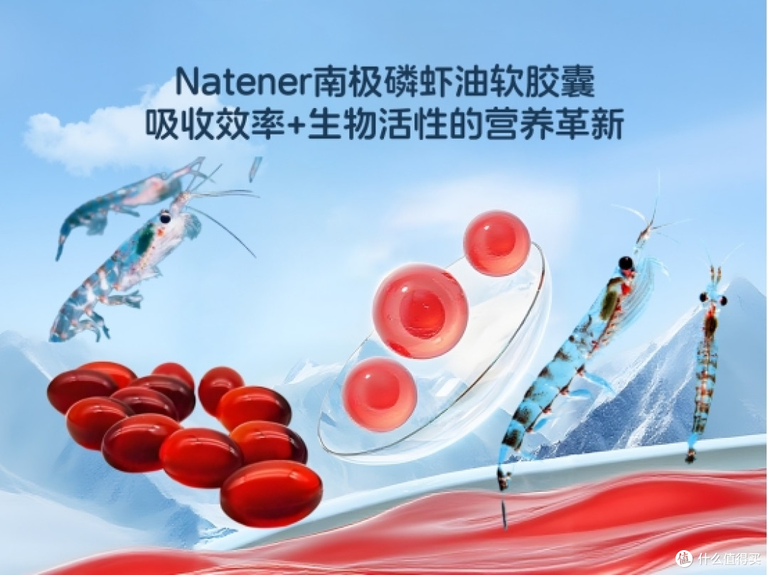 告别腥膻味困扰，2026年无腥味磷虾油品牌推荐