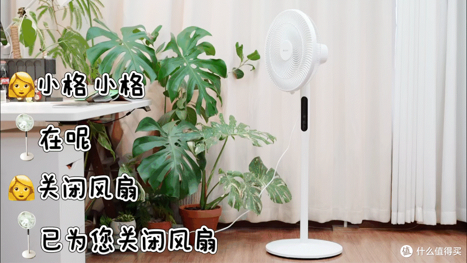 告别硬风直吹!全屋鲜氧循环、吹着不头疼!格力花精灵Ultra落地扇