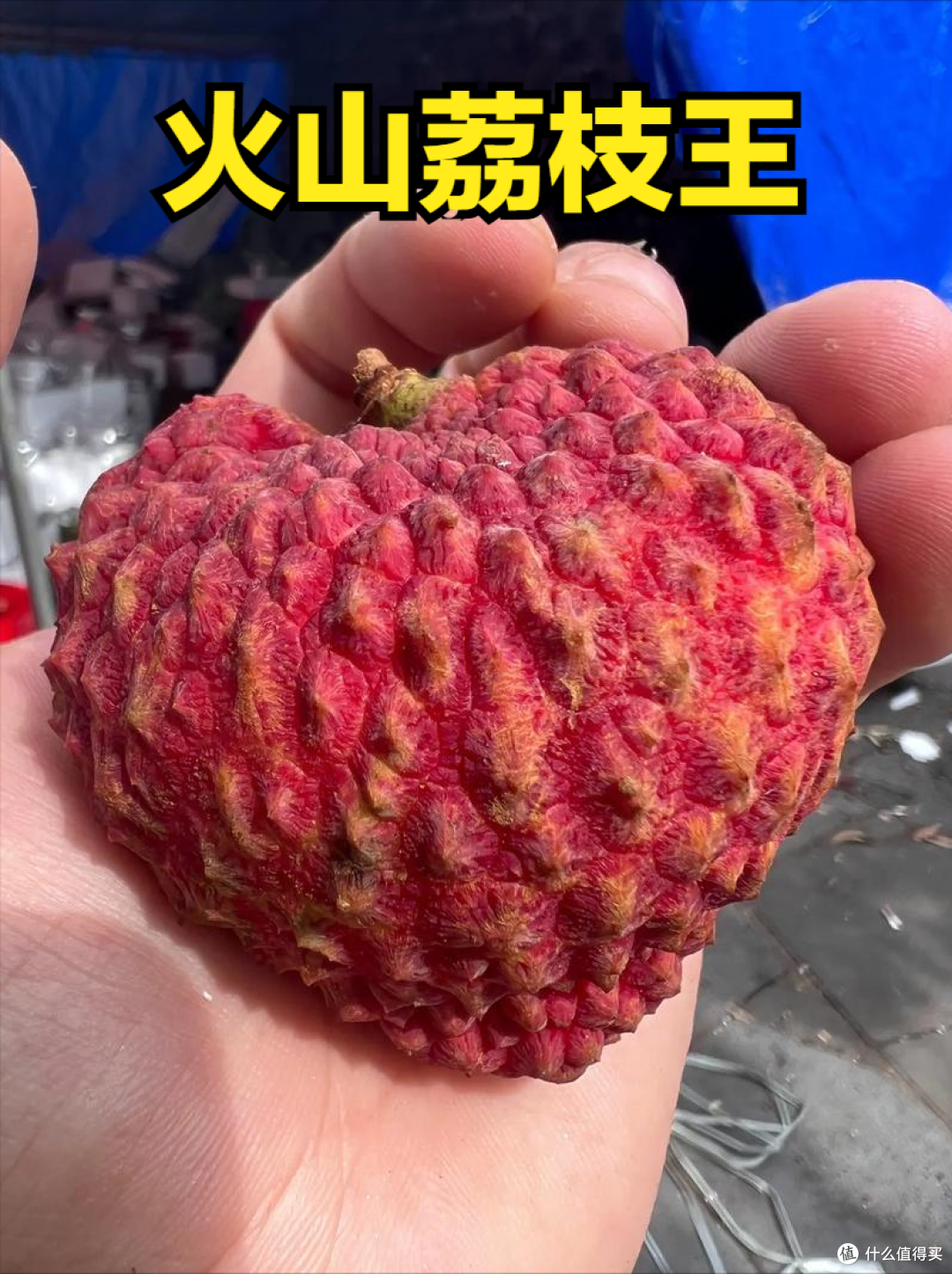 荔枝上市时间表收好!按时间买,从4月吃到7月,月月都有新鲜果
