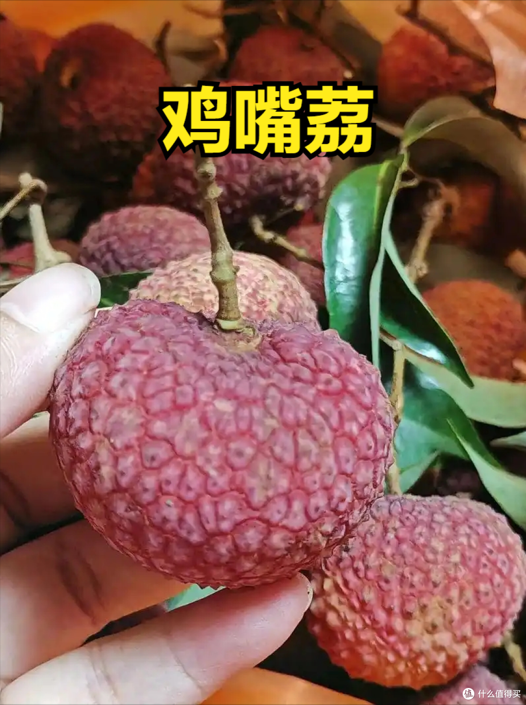 荔枝上市时间表收好!按时间买,从4月吃到7月,月月都有新鲜果
