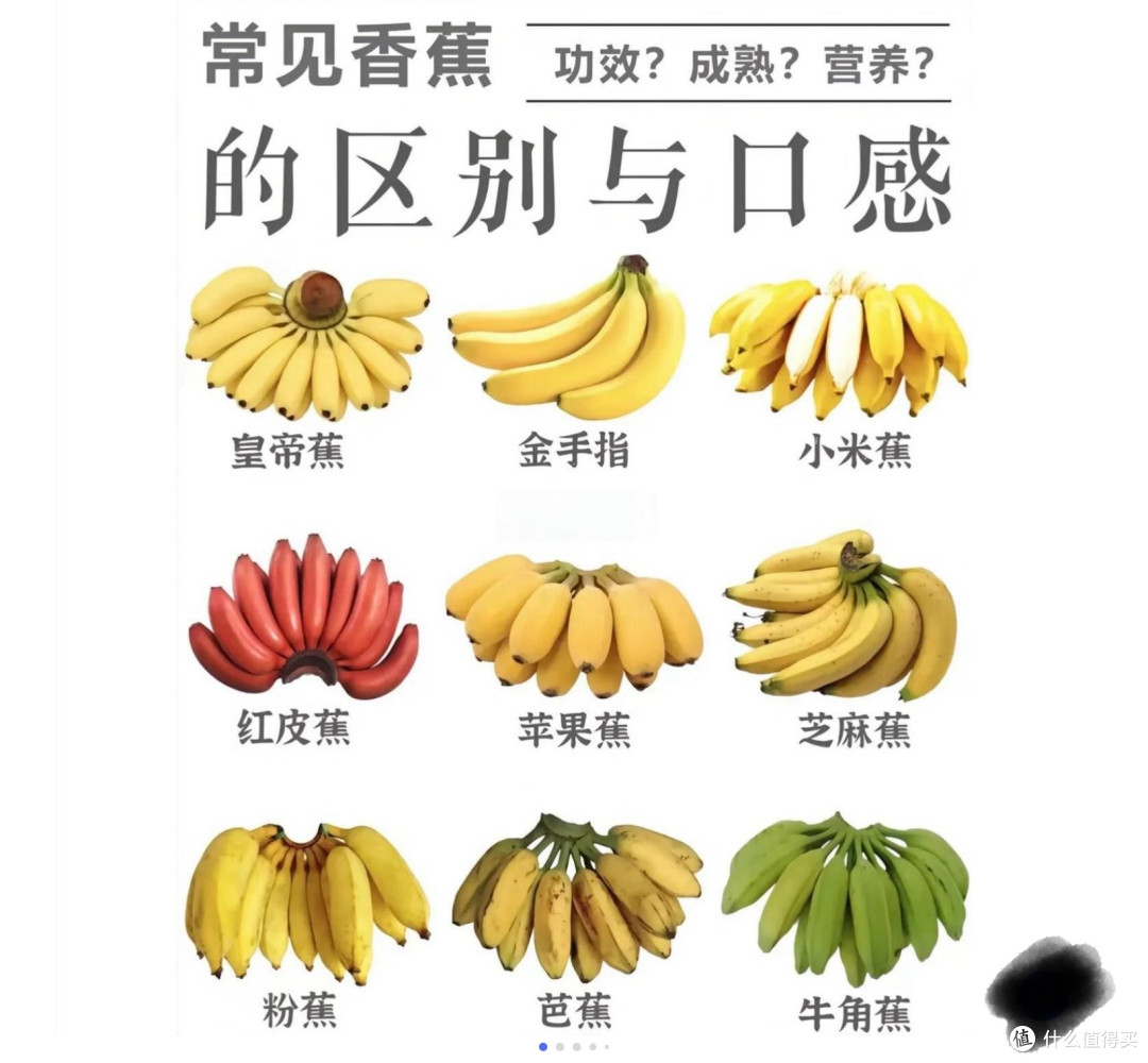 不同品种香蕉,你选对了吗?