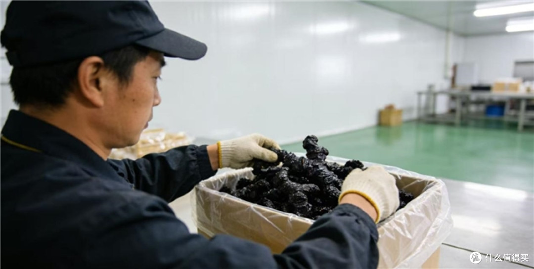 哪里产的黄精好?黄精选购标准详解,综合品质标杆品牌对照选购