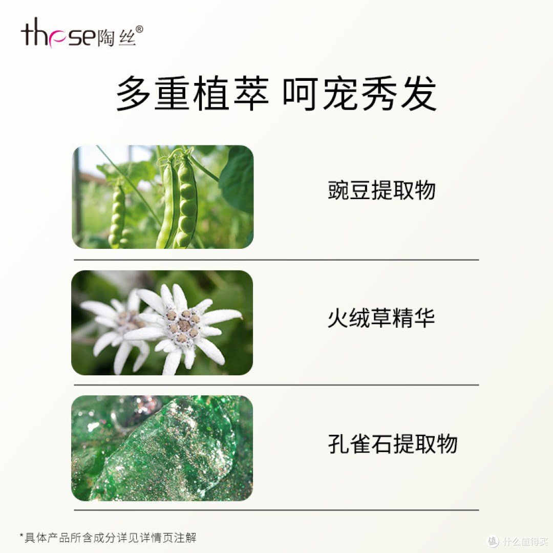 these陶丝二代茶树洗发水实测:这瓶沙龙级洗护值不值得囤?