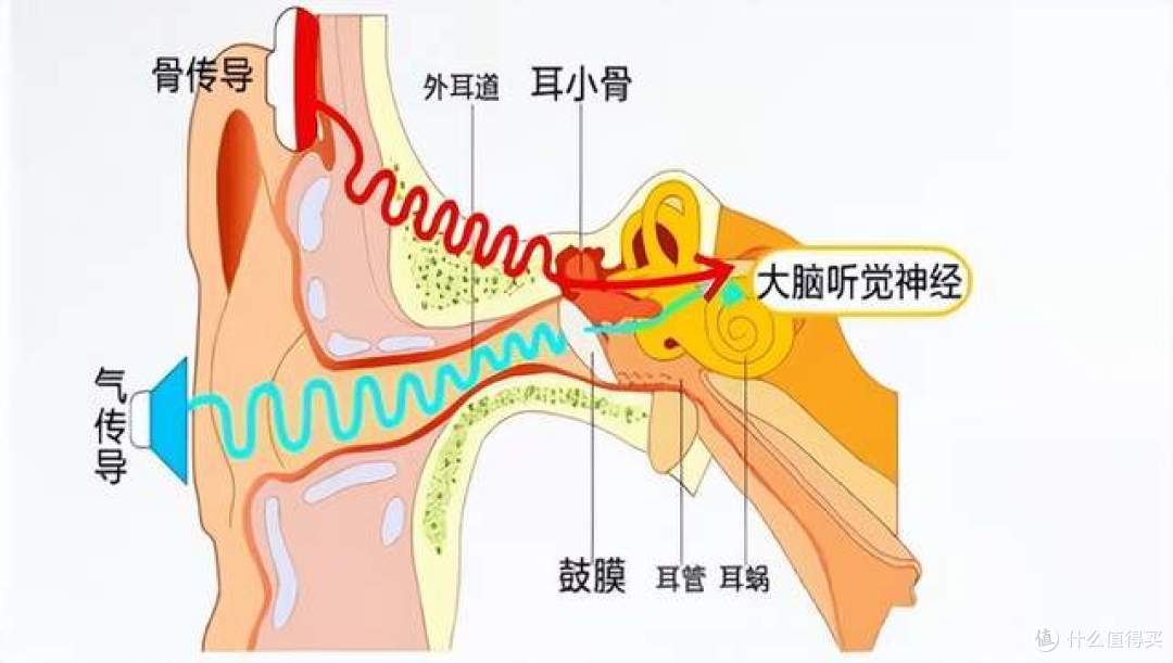 骨传导耳机墨觉和南卡哪款性价比更高?618骨传导耳机选购指南来了