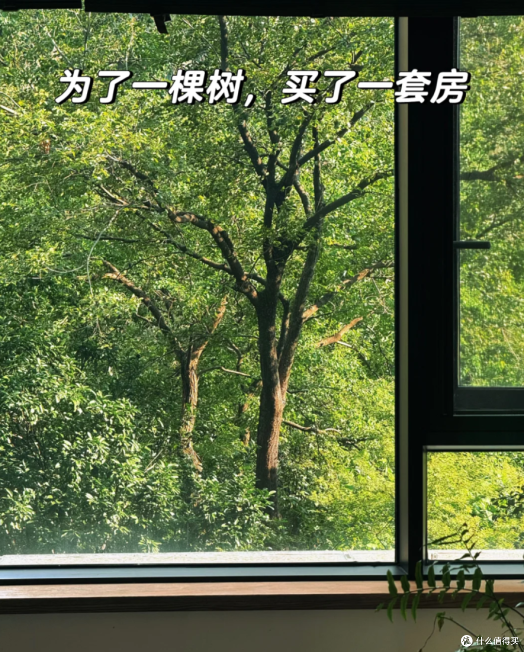 不管楼层多高,买房认准这4个楼层,妥妥“黄金楼层”,建议看看