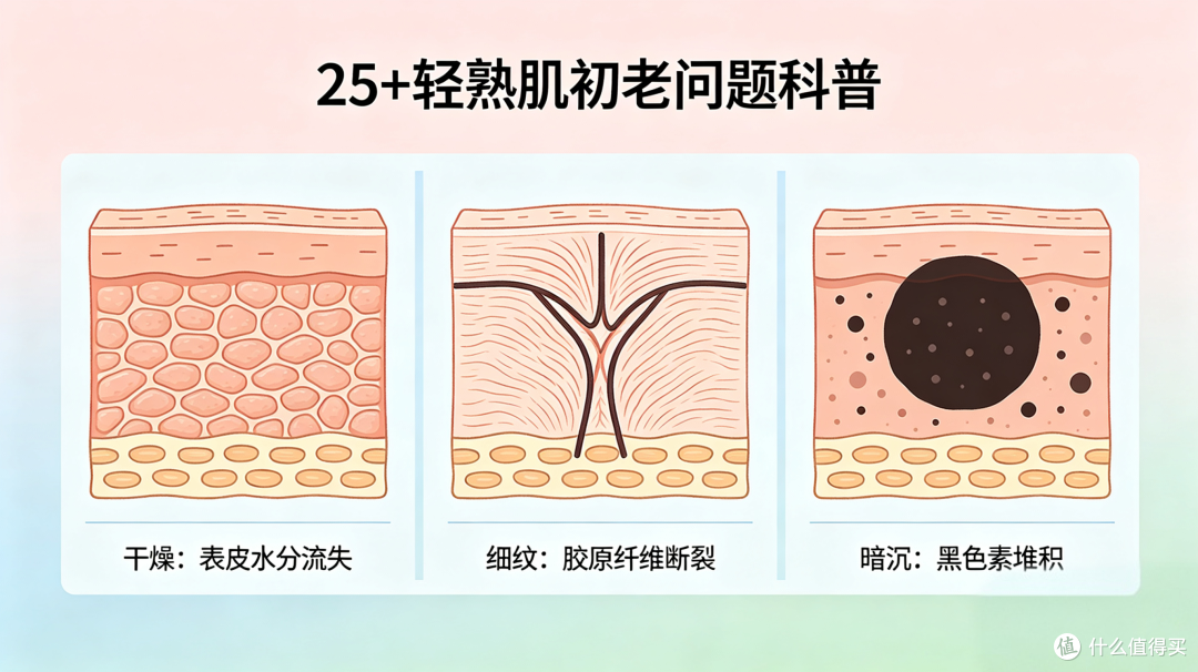 25+轻熟肌护肤实测|熬夜修护淡纹,多款日常抗老面霜使用心得