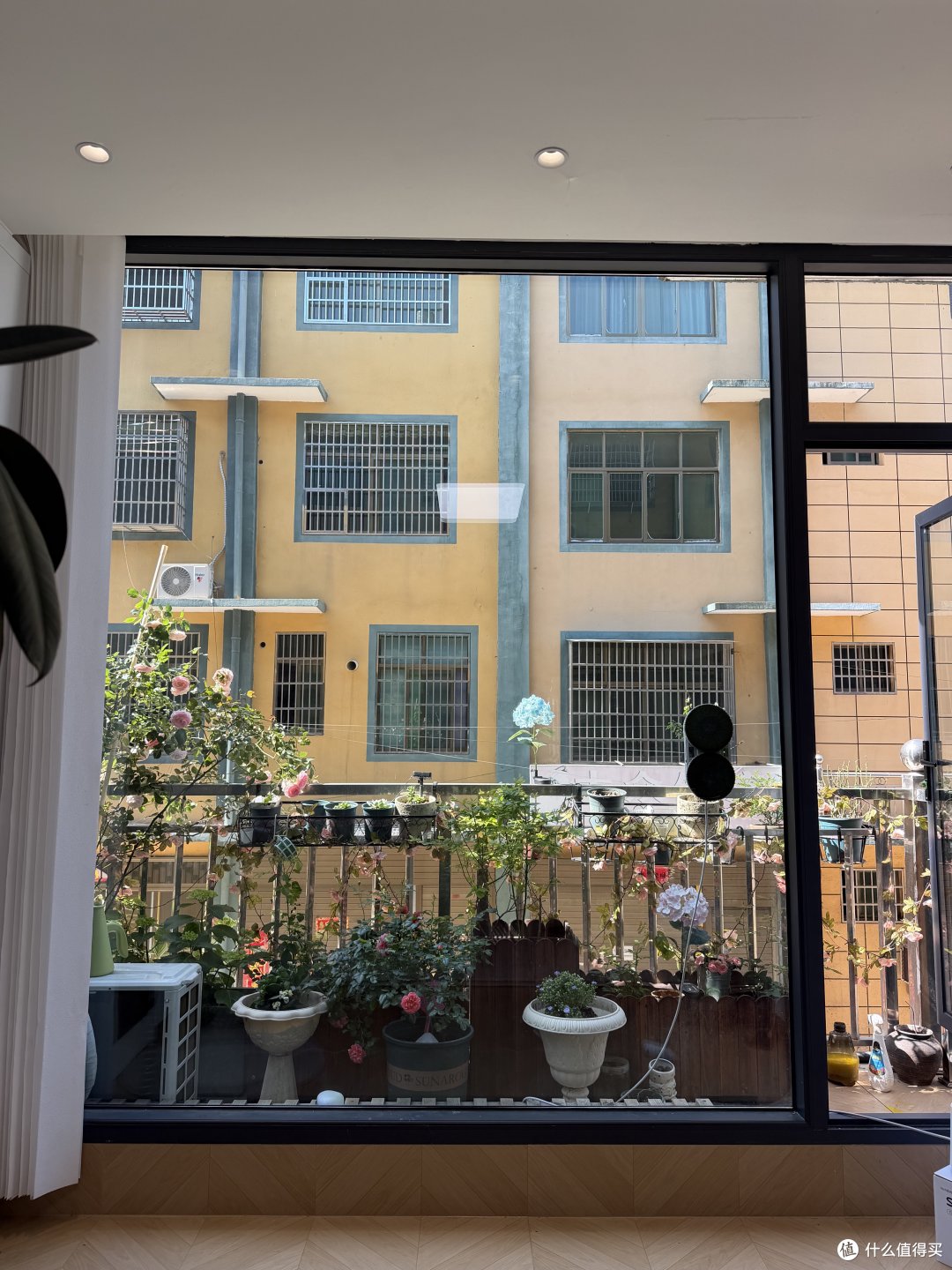 洒拖专利双圆盘扭擦结构