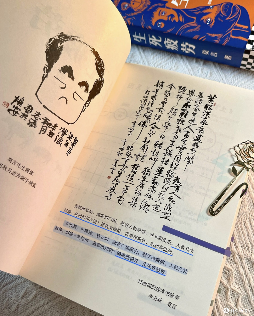 如果生活让你觉得委屈 就来看这本书吧