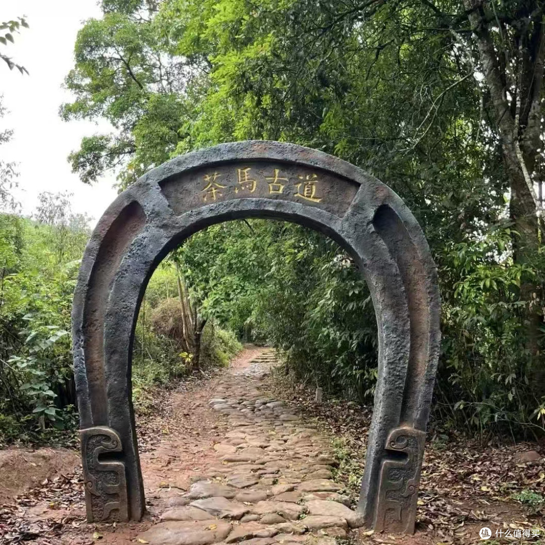 2026普洱茶香秘境游住宿实测 北回归线高性价比