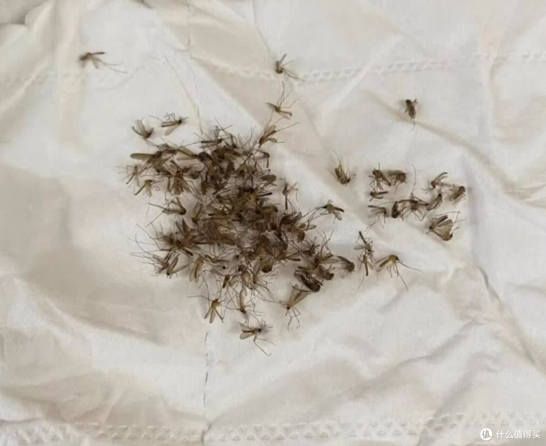 618哪一款灭蚊灯效果好?2026卧室灭蚊器十大排行榜选购推荐