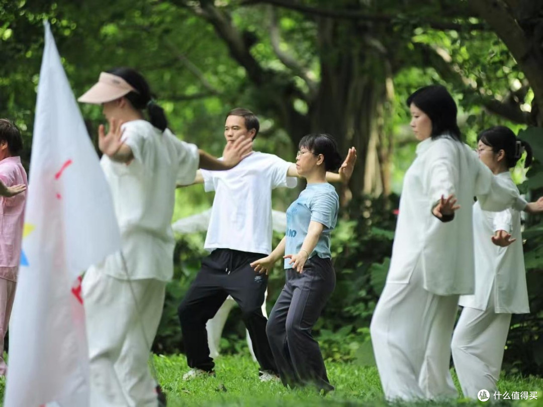 筋膜枪哪个牌子好?2026年十款筋膜枪深度解析,高性价比品牌推荐