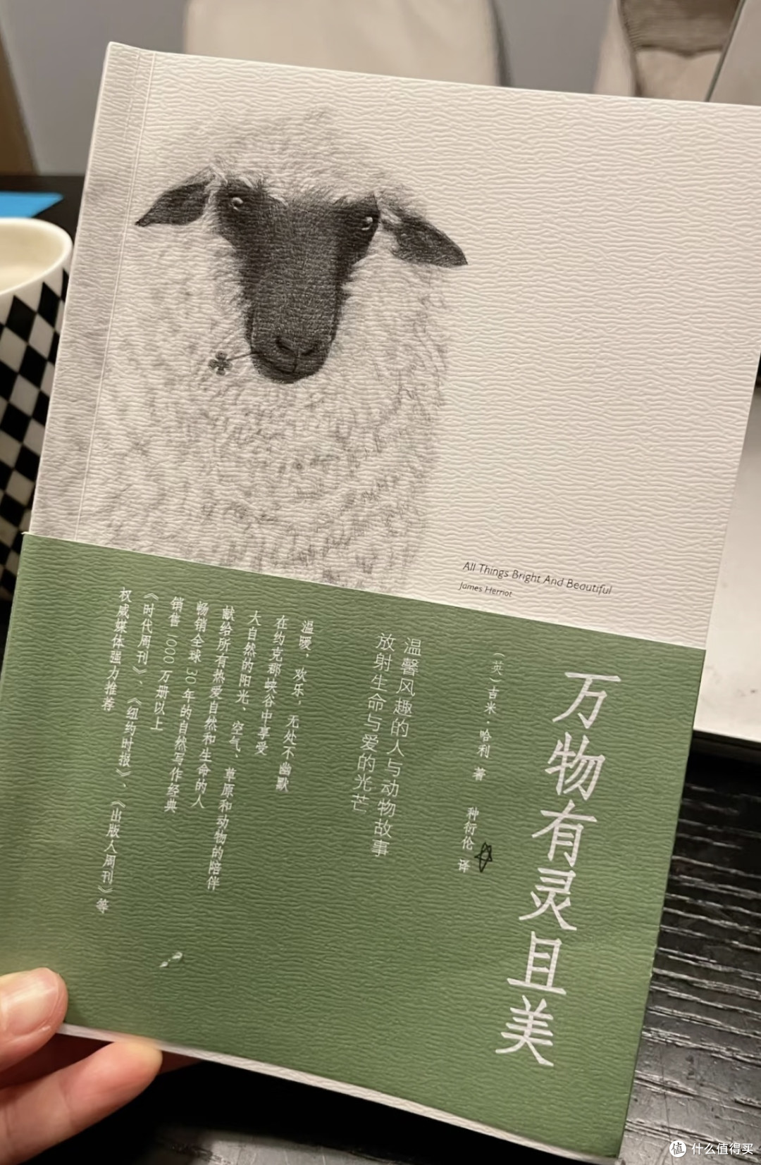 换书年度清单|宝藏反复读 ✅ 踩雷别碰 ❌