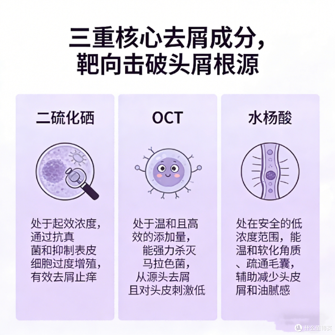 去屑止痒控油洗发水甄选 2026 五款高口碑好物改善油头头屑困扰