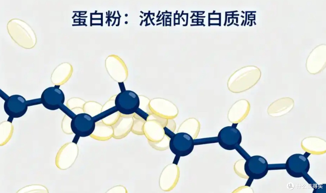 糖尿病人能喝蛋白粉吗,纽特舒玛0蔗糖配方
