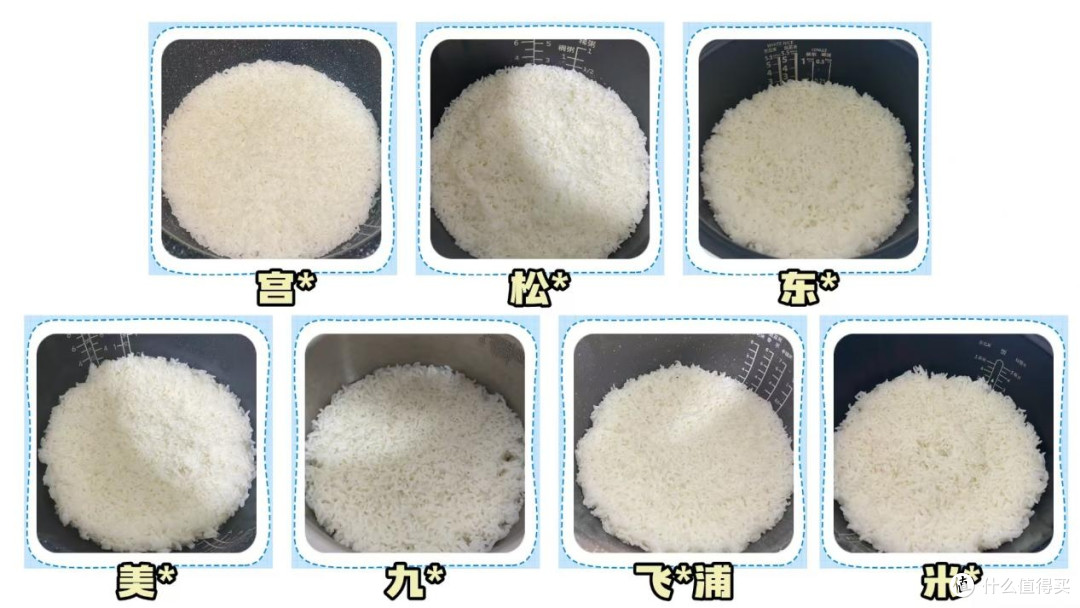 2026电饭锅哪个牌子质量最好？五大质量排名实测分享