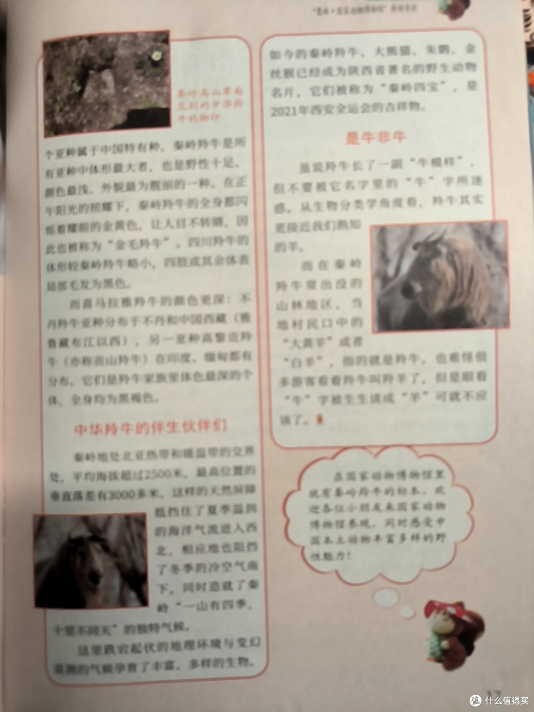 618必囤!让孩子笑着爱上科学的《意林·少年科学》
