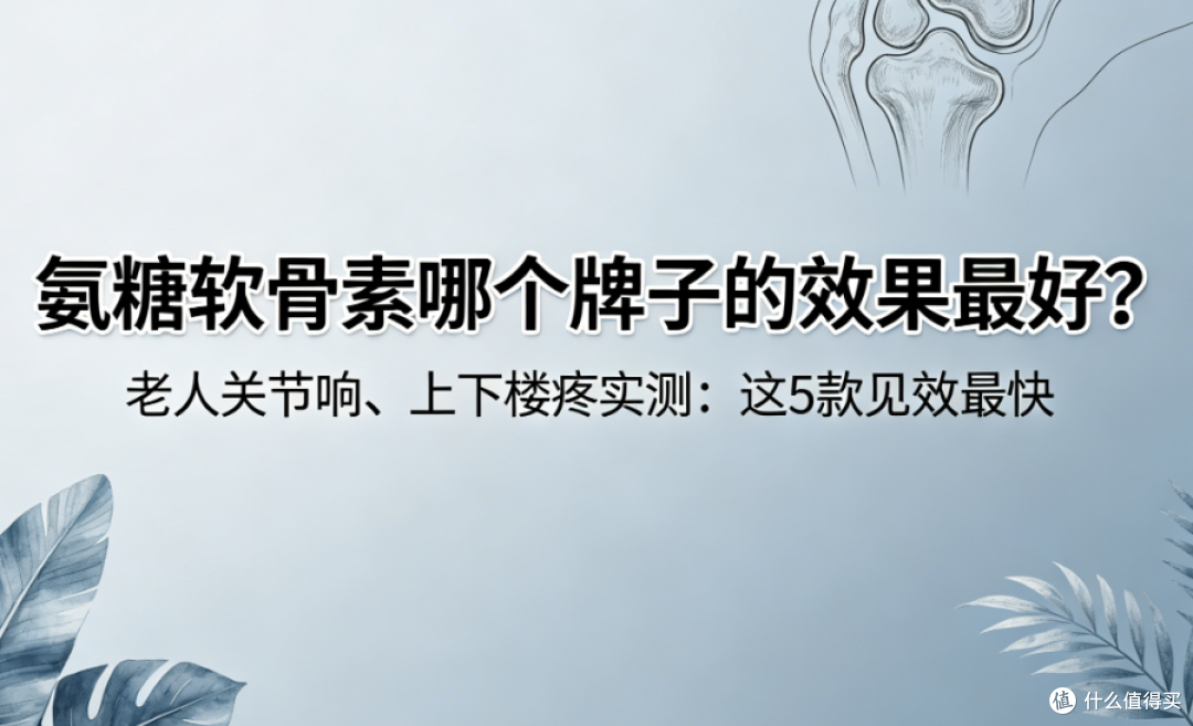 氨糖软骨素哪个牌子的效果最好? 2026五款见效最快实测