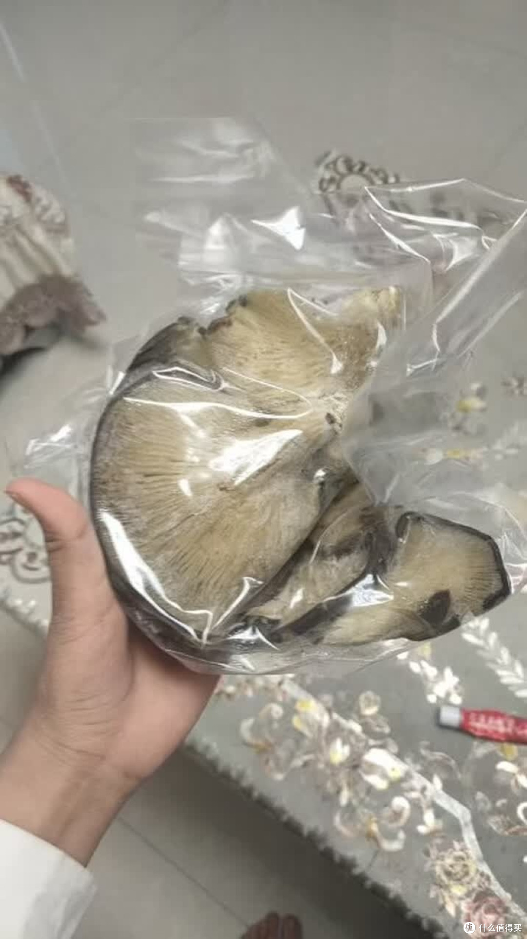新鲜平菇新鲜蘑菇蔬菜火锅食材 新鲜平菇现摘现发