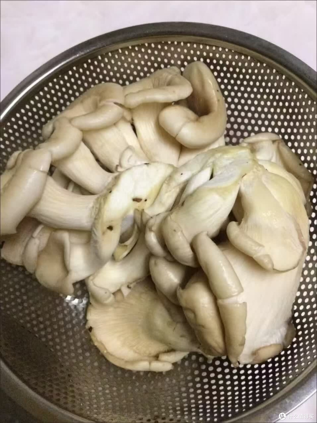 新鲜平菇新鲜蘑菇蔬菜火锅食材 新鲜平菇现摘现发