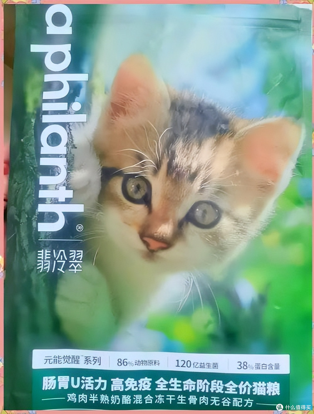 养猫选粮不用愁，2026年度十大优质猫粮强势出炉，618入手正合适