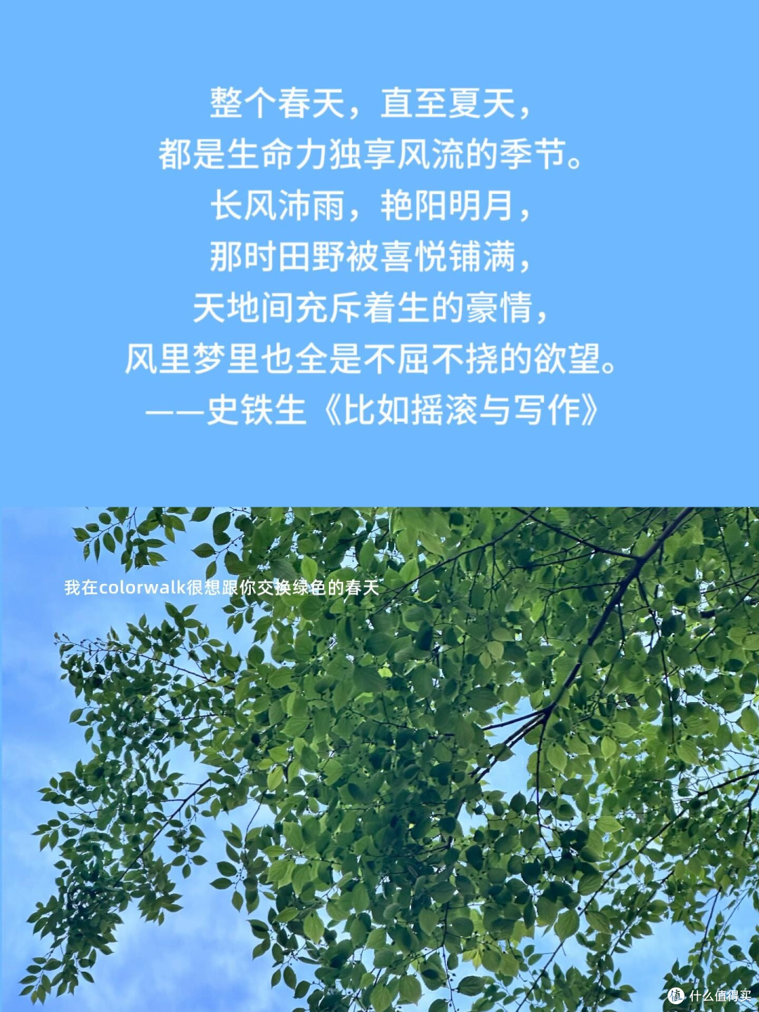读书:一场终身对话