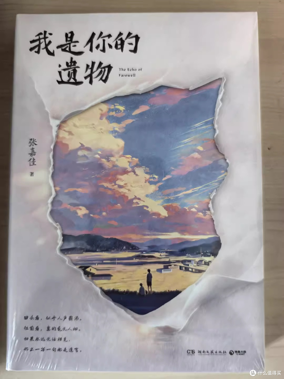 遗物是另一种形式的"我还在"——读《我是你的遗物》
