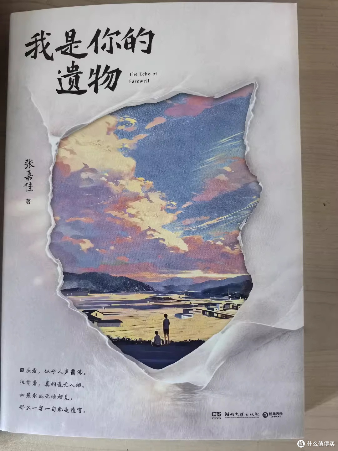 遗物是另一种形式的"我还在"——读《我是你的遗物》