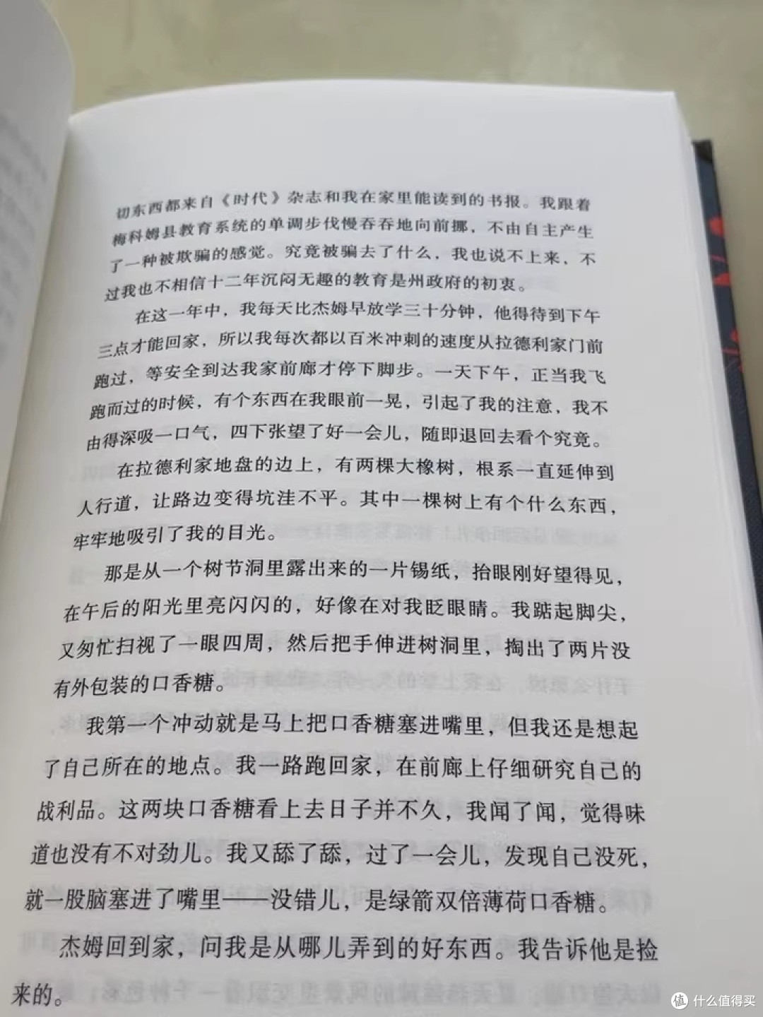 《杀死一只知更鸟》:知更鸟不只是鸟,是每个被偏见伤害的好人。