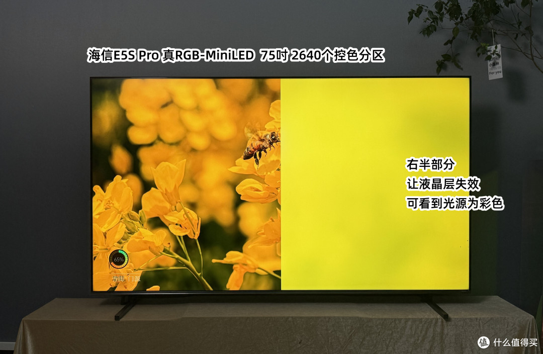 先进显示技术再下放|海信E5S Pro开箱, 全民同享真RGB电视