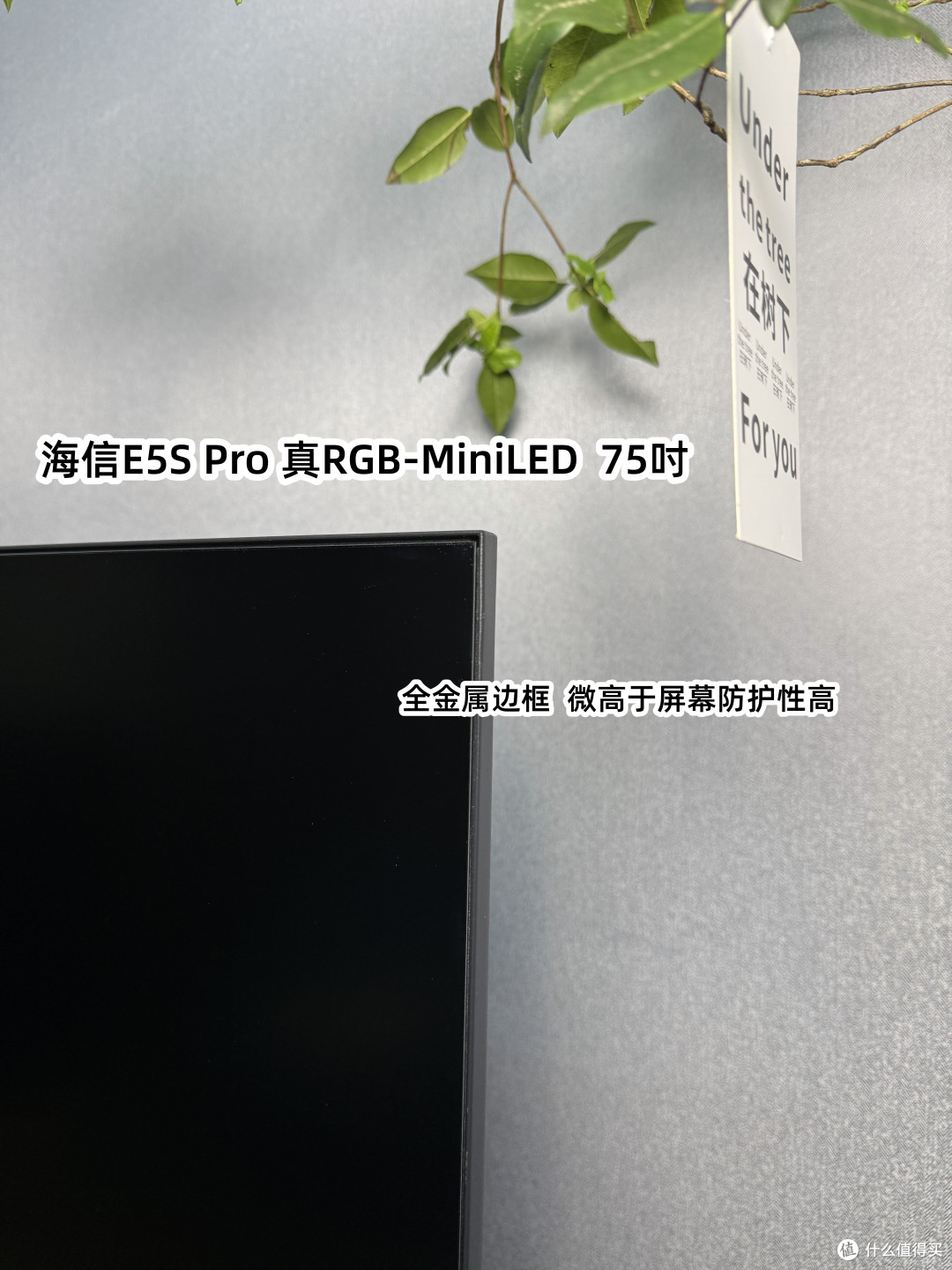 先进显示技术再下放|海信E5S Pro开箱, 全民同享真RGB电视